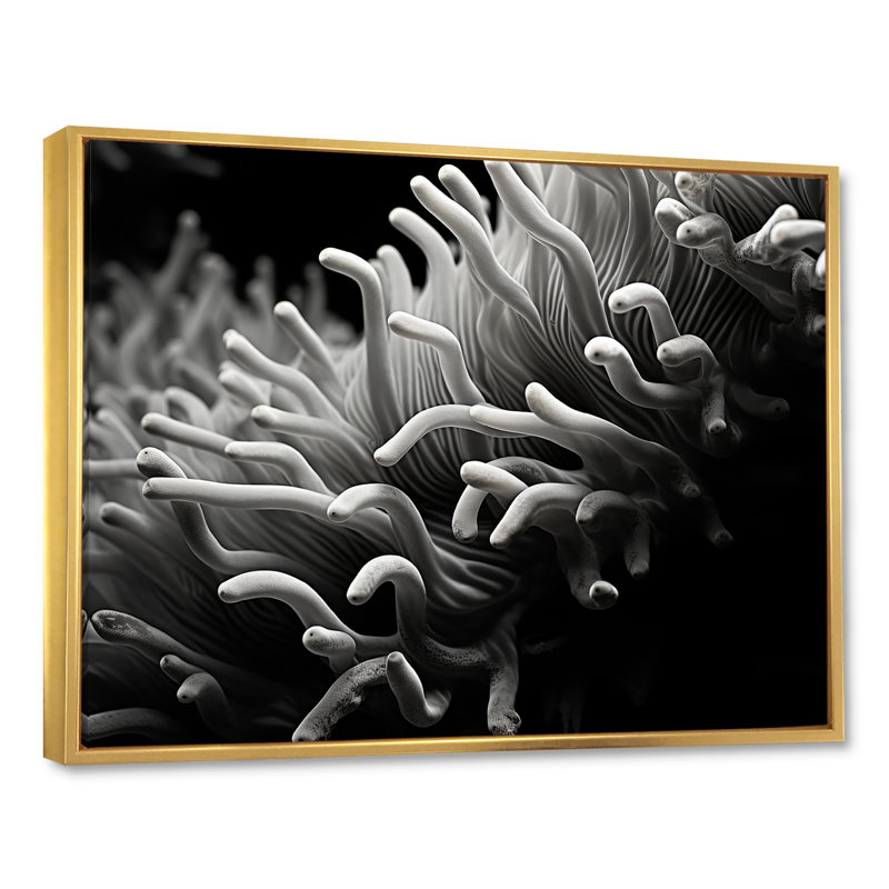 «Black and White Anemoner Color I», reproduction d'art sur toile, H 34 po x l 44 po, Cadre photo noir
