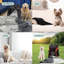 Coussins Katziela-96064478-96064477