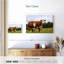 Veau et vache Brampt-107843253