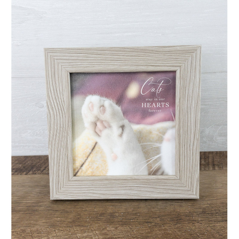 «Cat's Stay In Our Hearts Forever Symathy», art textuel encadré sur papier