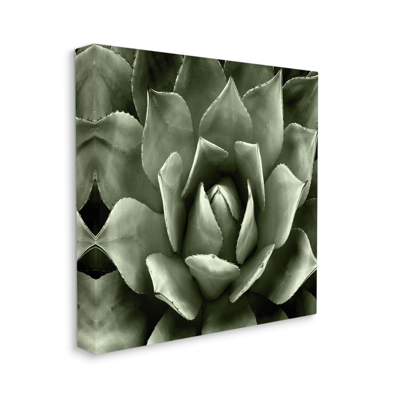 Au-741-Toile plante grasse vue de près par Lindsay Benson, peinture, H 36 po x l 36 po x P 1,5 po