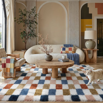 Shag Area Rug