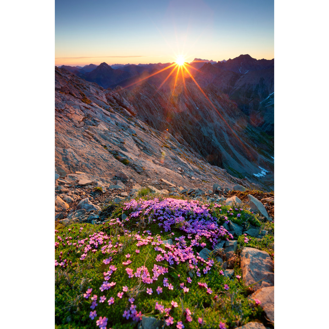 Alpen-Sonnenaufgang mit Blumen von Wingmar - Leinwandbild