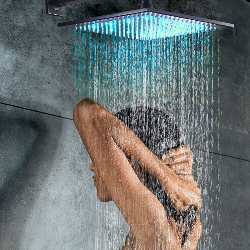 Wellman Rain Adjustable Shower Head, Black