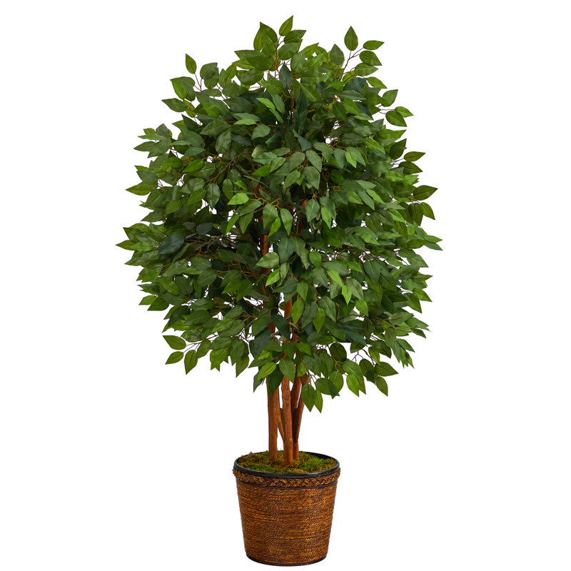 Ficus artificiel en pot, H 60 po x l 27 po x P 27 po