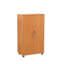 Wooden Storage Cabinet with Lock, 2 Door 2 Shelf Storage File, Utility, Garage Tool, Cabinet-35926996