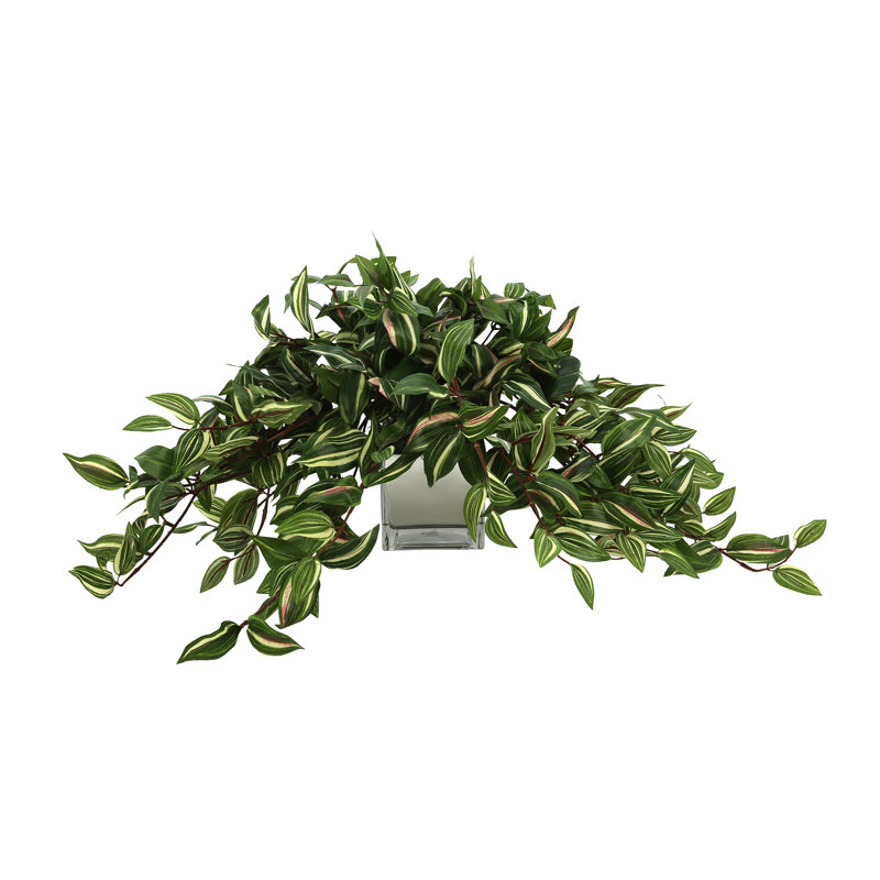 Ricka Faux Ivy Plant in Glass Pot