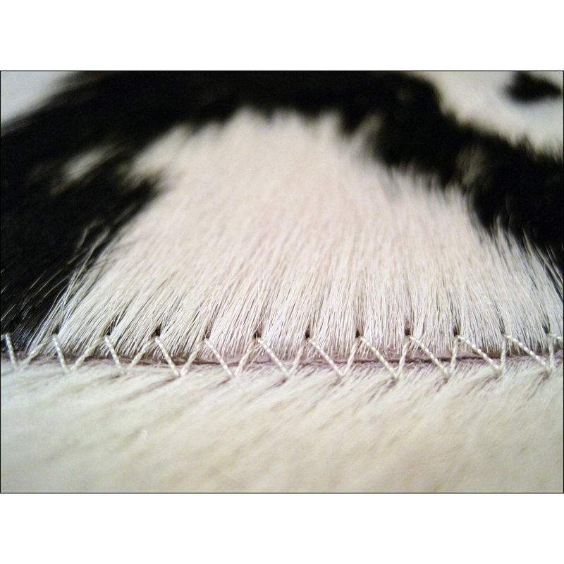 Buenos Aires Cowhide Abstract Area Rug, Rectangle 2' x 3'