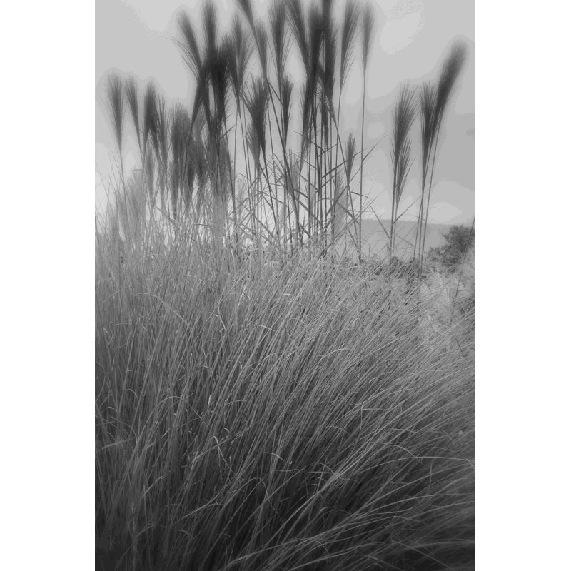 Photographie / Paysage 180, H 18 po x l 12 po
