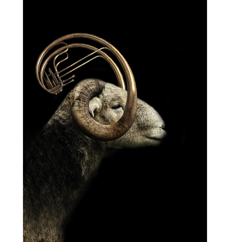 Wrapped Canvas Print, 50.8 cm H x 76.2 cm W