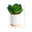 6 po Plante artificielle en pot blanc