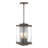 Kingston 4 - Bulb 18" H Outdoor Hanging Lantern-55702434-55702437