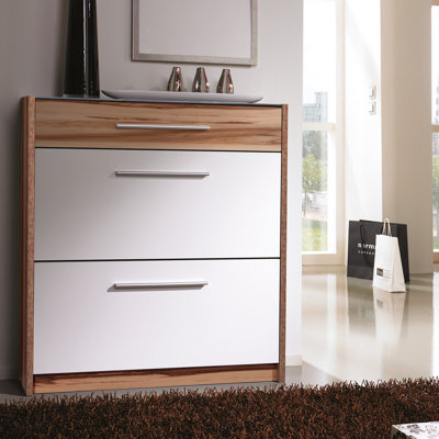 Shoe Storage Cabinet