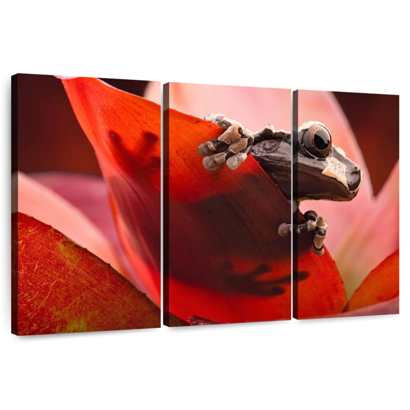 Brampt Amazon Tree Frog, 32" H x 50" W