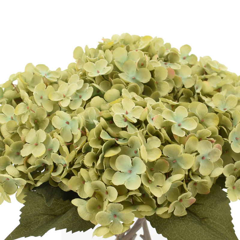 Hydrangea Bouquet in Glass Vase, Green