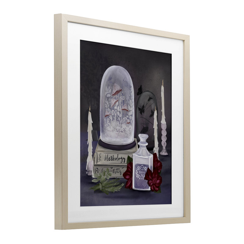 Impression sous verre Spooky Apothecary Vibes, Cadre de récolte en pin, H 16 po x l 13 po