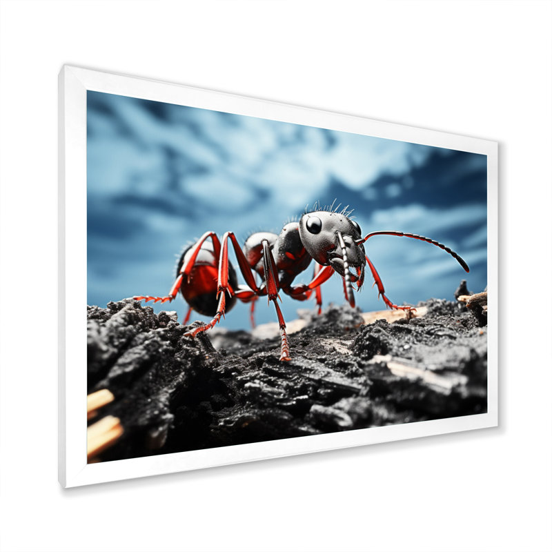 Ant Industrious I, reproduction d'art sur toile, H 24 po x l 32 po x P 1 po, Cadre photo blanc
