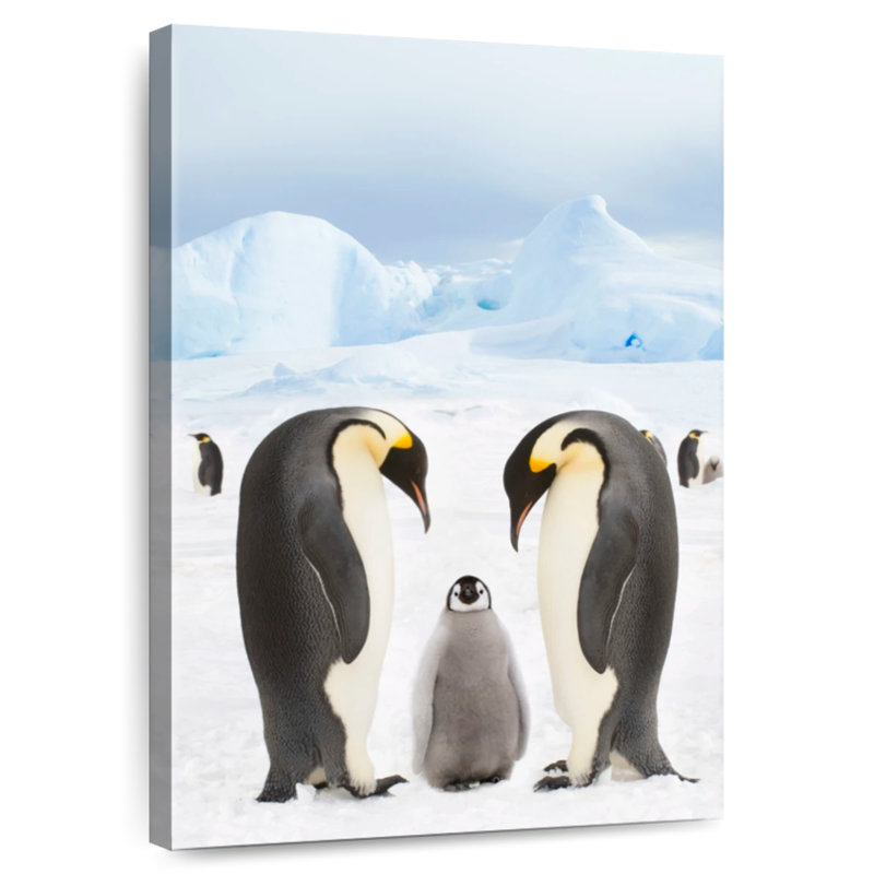 Famille de pingouins I, H 51 po x l 34 po