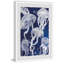 Jellyfish II - Single Picture Frame Print-192244639