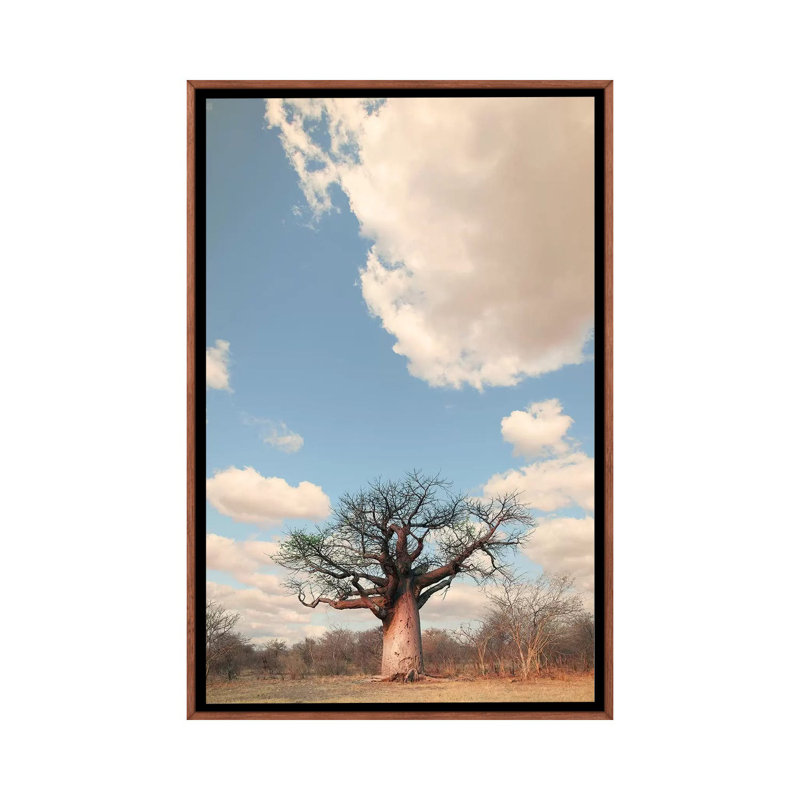 Naye Naye Baobab I by Klaus Tiedge - Print on Canvas, 66.04 cm H x 45.72 cm W, Classic Brown Wood Framed