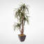 Faux Yucca Tree in Metal Planter