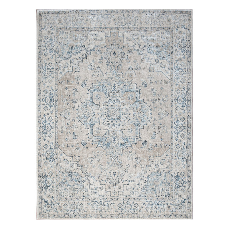 Noble Area Rug - Traditional Medallion, Soft, Stain Resistant, Kid Pet Friendly, Rectangle 5'3" x 7'3"