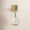 Single Light Glass Dimmable Armed Sconce