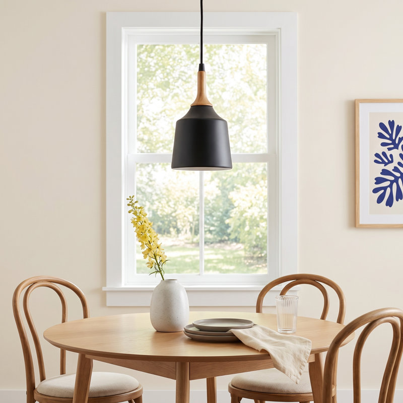 Edmar 1 - Light Black Single Pendant