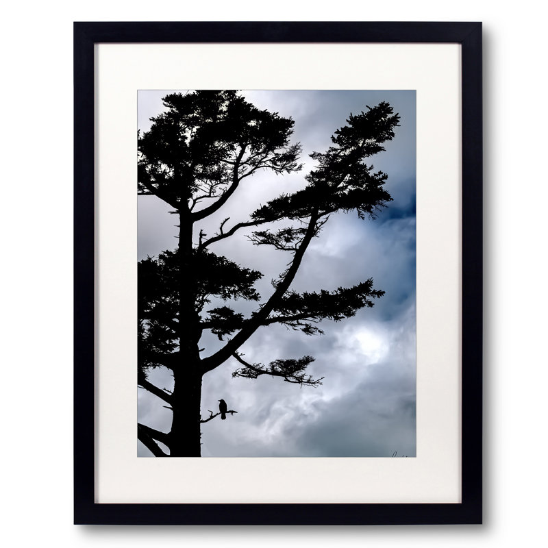 One Crow In A Pin Print by Tom Kostes, Black Framed Paper, 31.2" H x 25.2" W