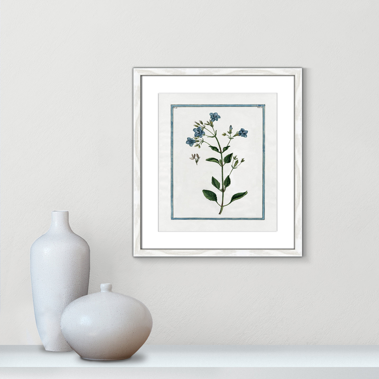 Shabby Elegance Botanical II - Framed Art, 13" W x 15" H, White Framed