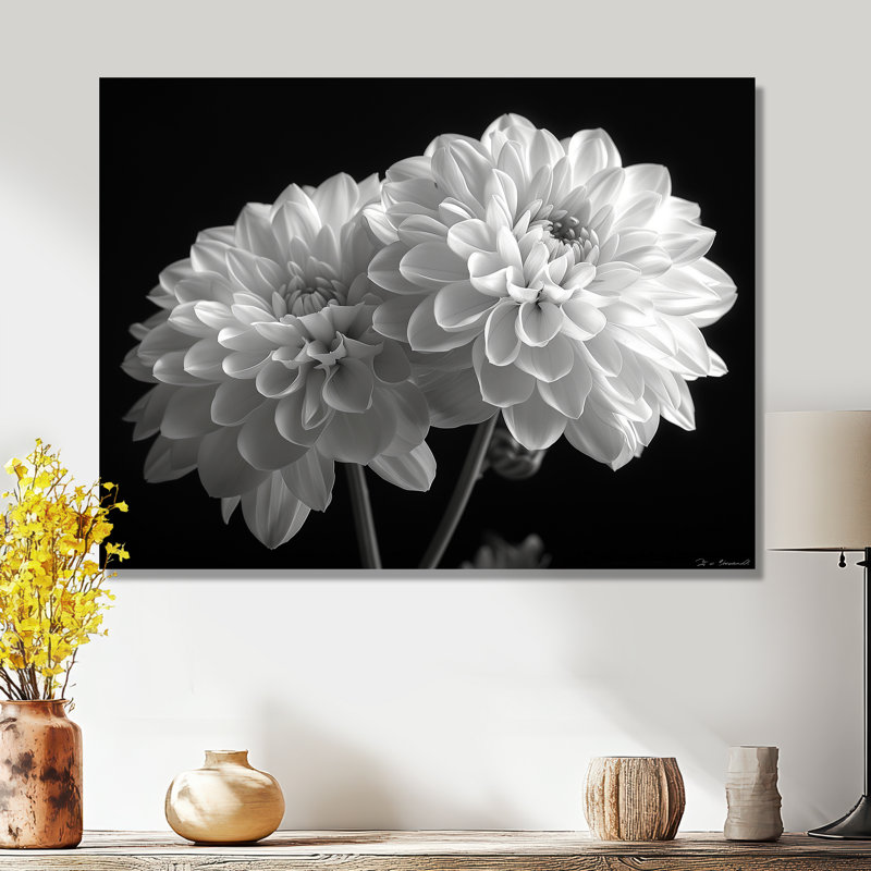 Monochromes blanc noir, «Mums Botanical Beauty I», reproduction d'art mural, Sans cadre, métal, H 12 po x l 20 po x P 1 po