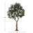 Sonoma 118" Faux Olive Tree