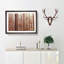 Red Forest In The Autumn - Single Picture Frame Painting on MDF-56627775-56627772