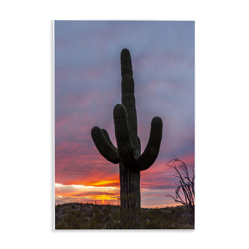 Plaque murale Arizona Cactus at Sunset, conception de Jeff Poe, H 15 po x l 10 po