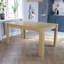 Iriemi Dining Table-398440644-398440642