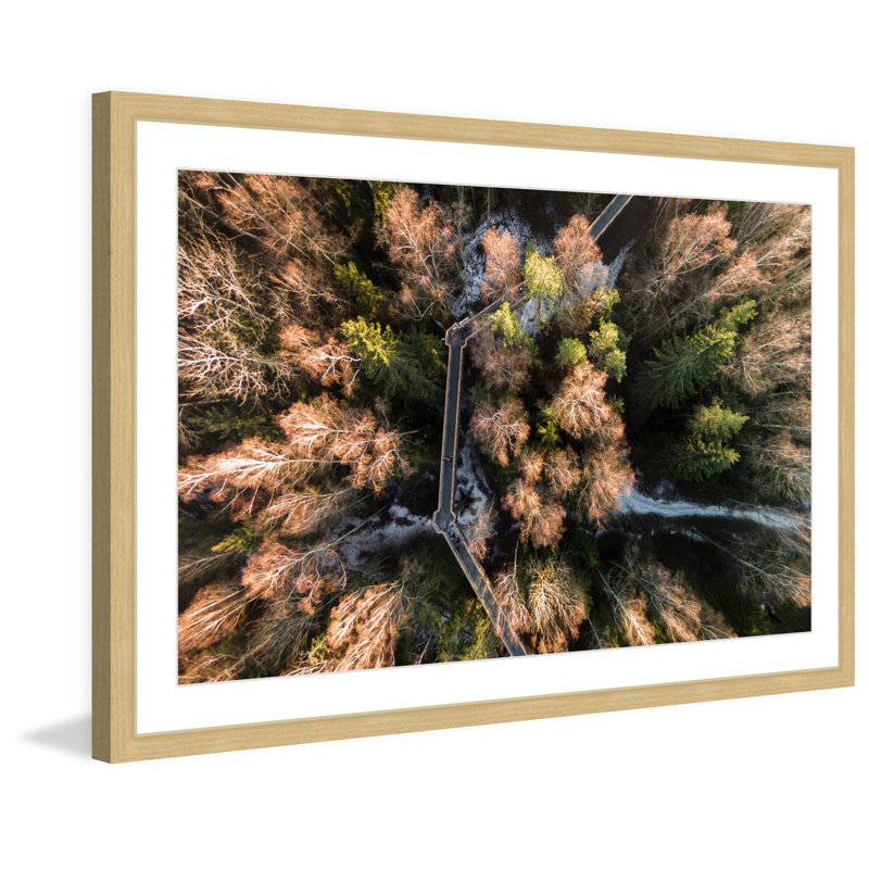 Karolis Janulis - Single Picture Frame Print, 41 cm H x 61 cm W x 3.81 cm D