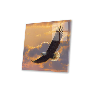 «Soaring Spirit» - Aigle à tête blanche, carré