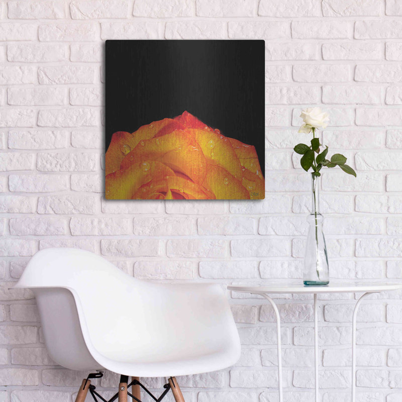 Art mural en métal Latitude Run® «Orange Petals» par Donnie Quillen, 24" H x 24" W