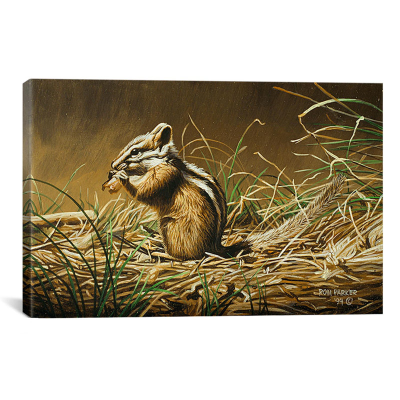 « chipmunk » par impression sur toile Ron Parker, H 26 po x l 40 po x P 1,5 po