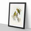 Coxen's Parakeets by Elizabeth Gould - Picture Frame Painting Print-55510580-55510581