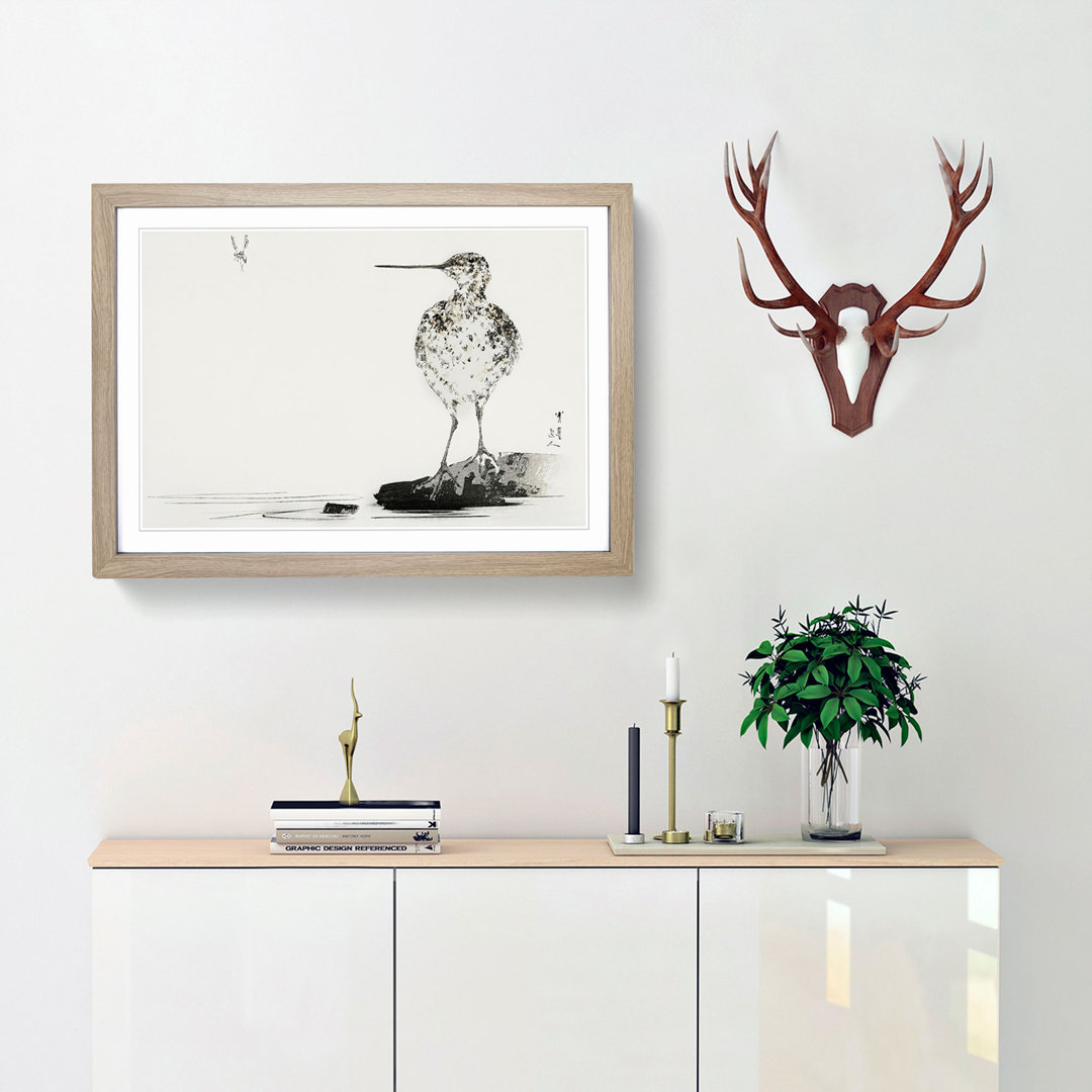 Common Snipe Bird by Watanabe Seitei - Picture Frame Painting Print