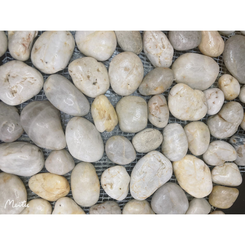 Carreau de mur et de sol en pierre naturelle 12 po x 12 po Pebble