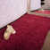 Honey-Mae Solid Colour Shag Area Rug