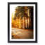 Sunlight Through the Forest - Framed Print-55614011-55614013