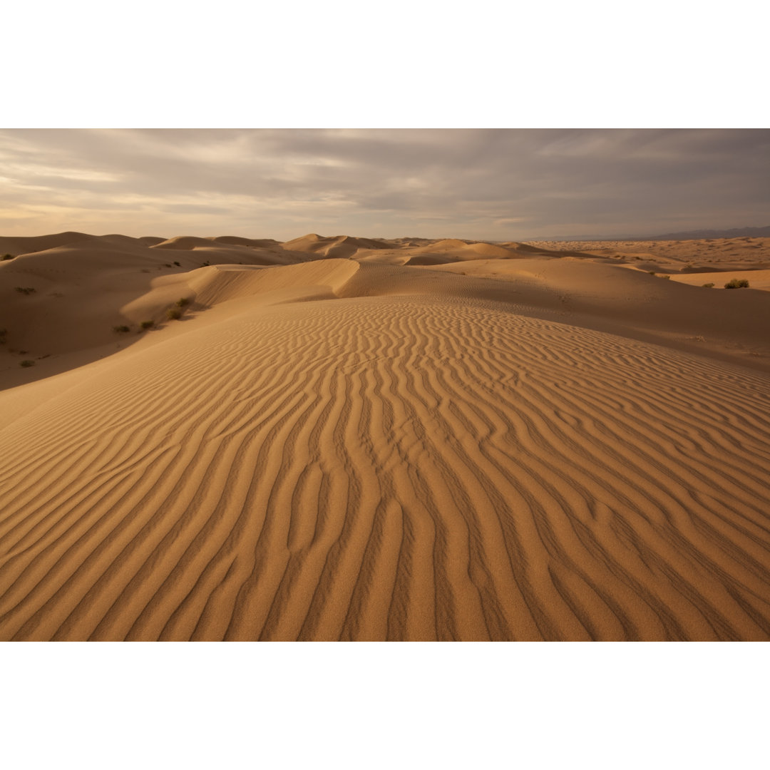 Libertyville Dunes At Sunset - Wrapped Canvas Print