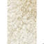 Celecot Area Rug-1180810071-1082020149