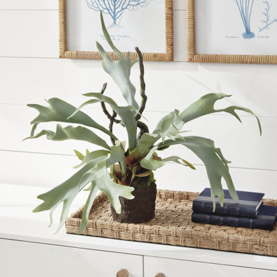 Cunha Faux Fern Plant