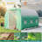 6.5Ft Greenhouses Heavy Duty Large Greenhouses Walk In Green Houses Tunnel Green House Outdoor Gardening Upgraded Galvanized Steel Ropes Zipper Doors-115739292-115739293
