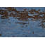 Tapis oriental contemporain à teinture végétale noué à la main 9 x 12