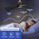Laquaysha 60'' Ceiling Fan with LED Lights